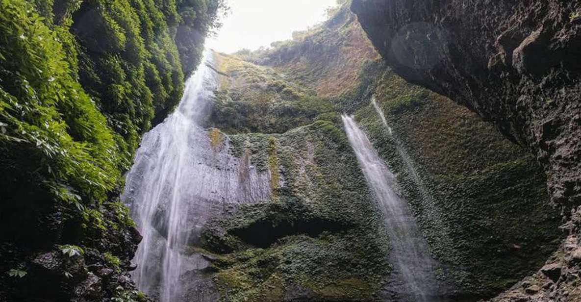 From Surabaya/ Malang :Bromo Sunrise and Waterfall - Key Points