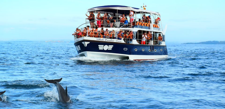 From Tangalle: Mirissa Whale Watching Tour With Breakfast - Key Points
