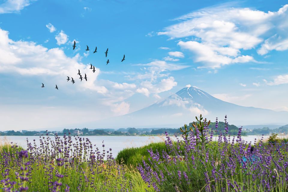 From Tokyo: 1-Day Private Mt. Fuji Tour by Car - Booking Details