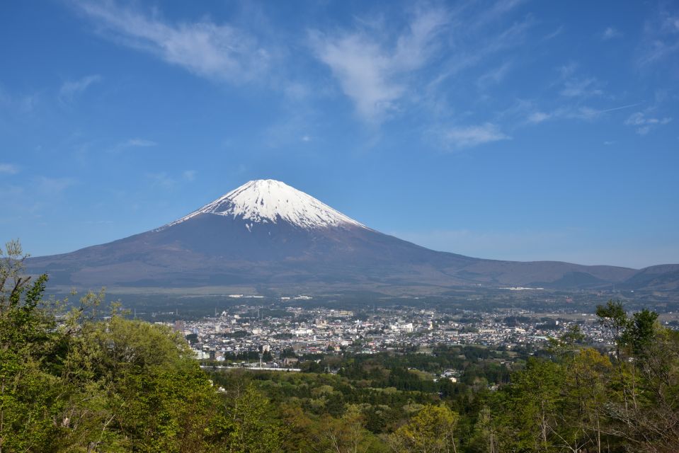 From Tokyo: 1 Day (SIC) Mount Fuji Gotemba Premium Outlet - Just The Basics
