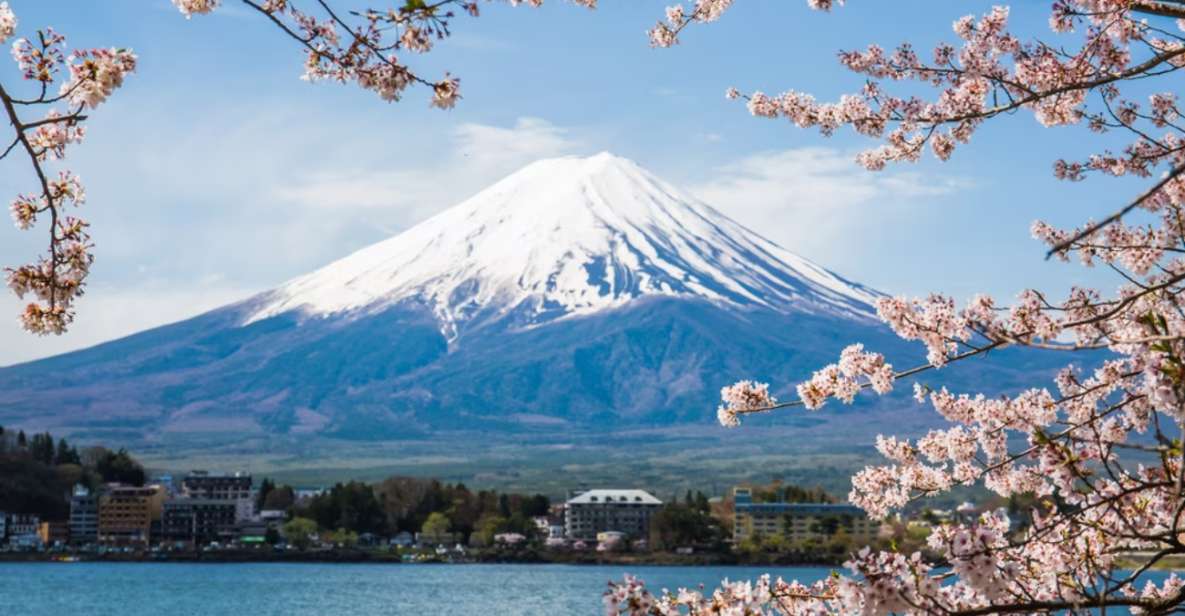 From Tokyo: 10-hour Mount Fuji Private Customizable Tour - Just The Basics