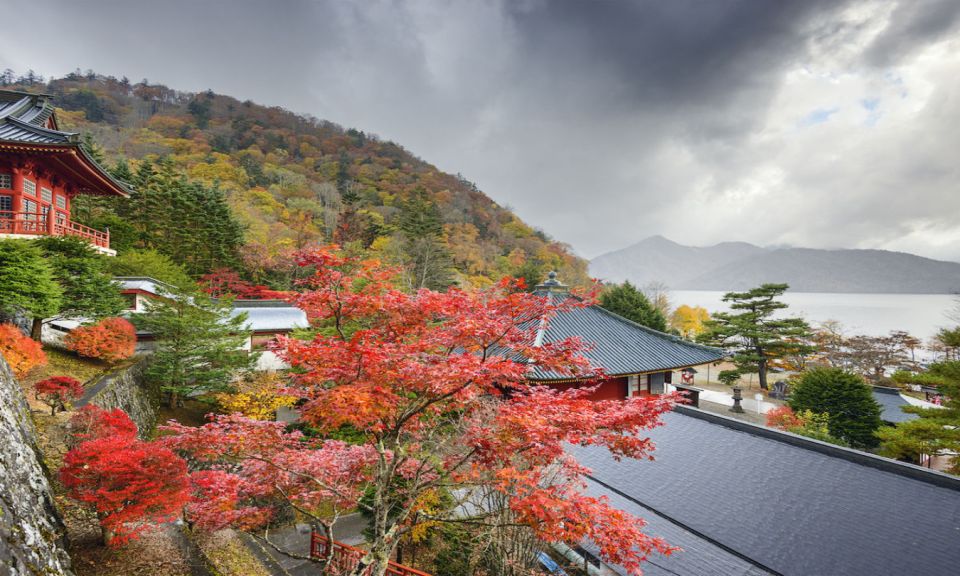 From Tokyo: 10-hour Private Custom Tour to Nikko - Key Points