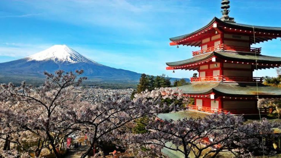 From Tokyo: Customizable Mount Fuji Full-Day Private Tour - Just The Basics