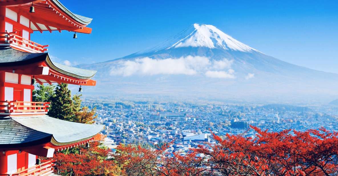 From Tokyo: Mount Fuji and Hakone Private Day Trip - Just The Basics