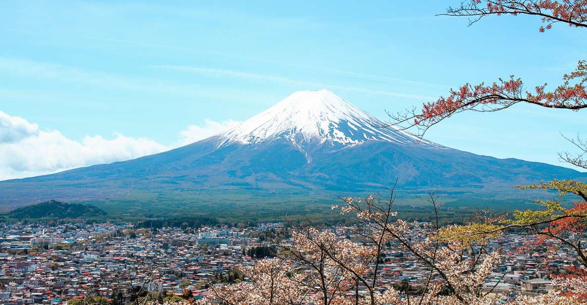 From Tokyo: Mt. Fuji Full-Day Sightseeing Trip - Just The Basics