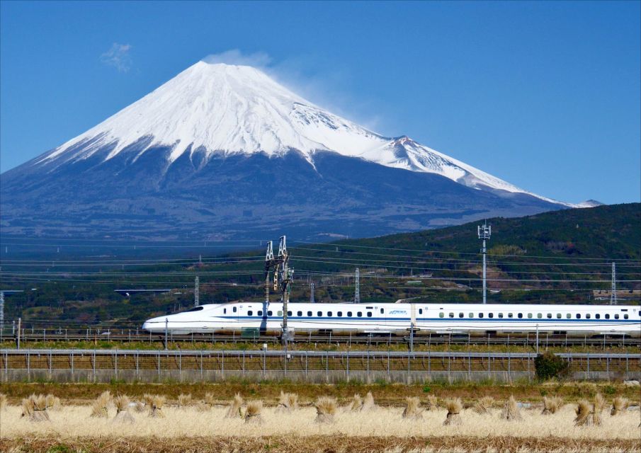 From Tokyo: Mt. Fuji & Hakone Tour W/ Return by Bullet Train - Just The Basics