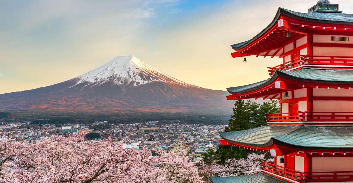 From Tokyo: Mt. Fuji or Hakone Private Sightseeing Day Trip - Just The Basics