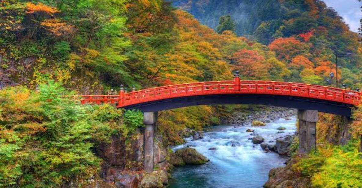 From Tokyo: Nikko Private Full-Day Sightseeing Day Trip - Tour Cancellation and Reservation Policy