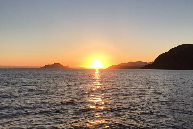 From Tromso All- Inclusive Midnight Sun Cruise by Boat - Whats Included