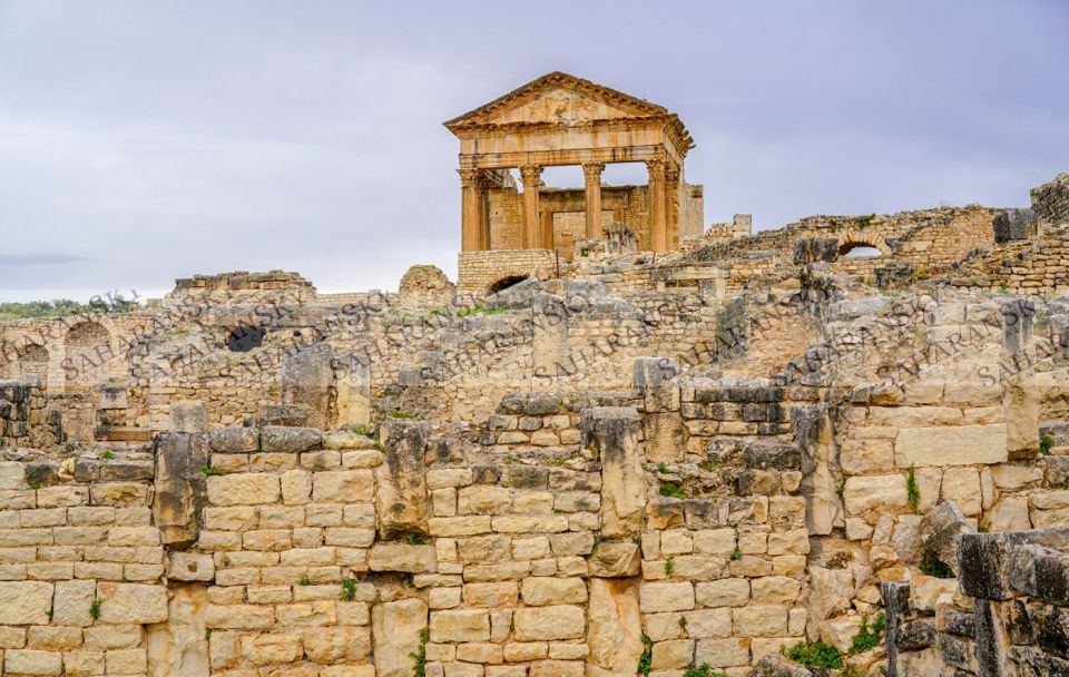 From Tunis: Half-Day Dougga Tour - Key Points