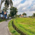 from ubud downhill bike tour with rice terraces and meal From Ubud: Downhill Bike Tour With Rice Terraces and Meal