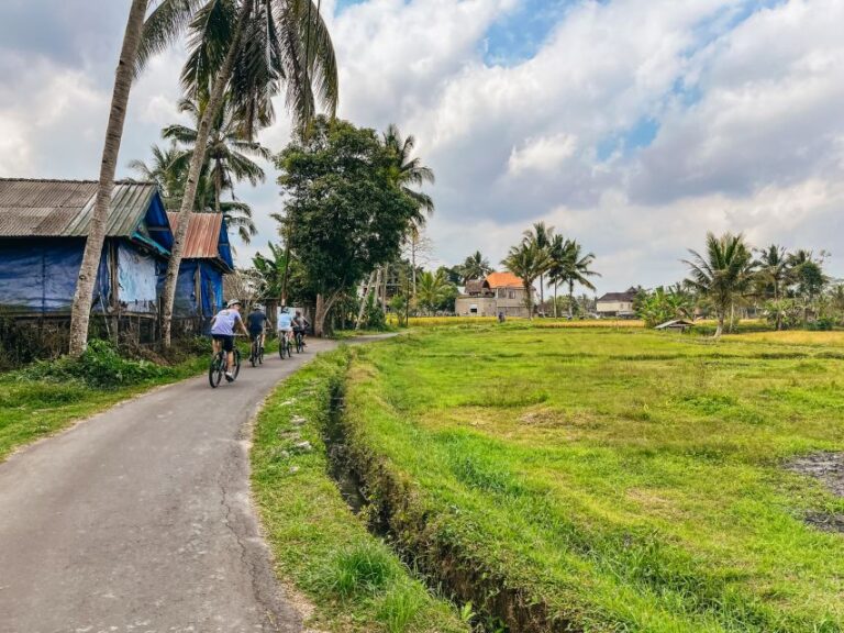 From Ubud: Downhill Bike Tour With Rice Terraces and Meal