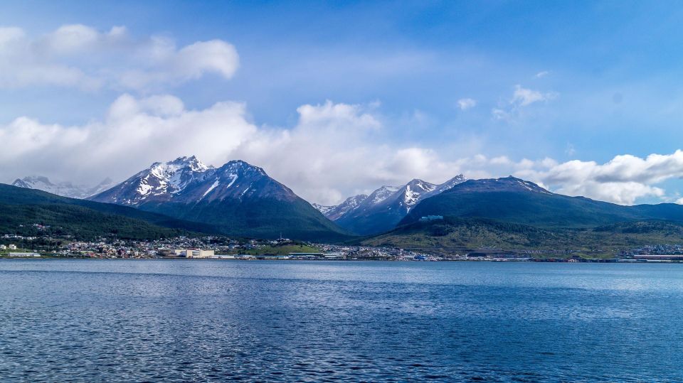 From Ushuaia: Penguin Watching Tour by Catamaran - Key Points