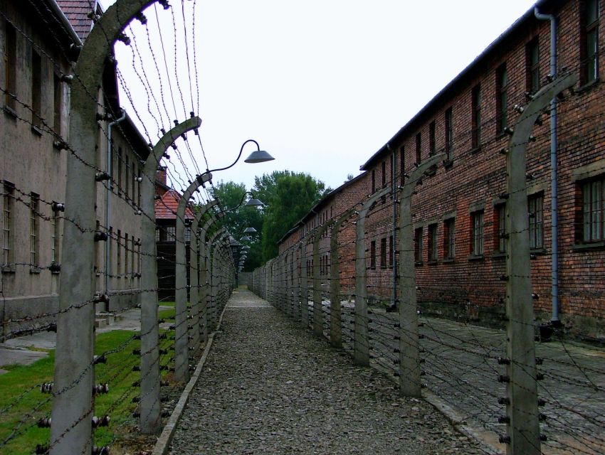 From Warsaw: Full Day Guided Trip to Auschwitz-Birkenau - Key Points