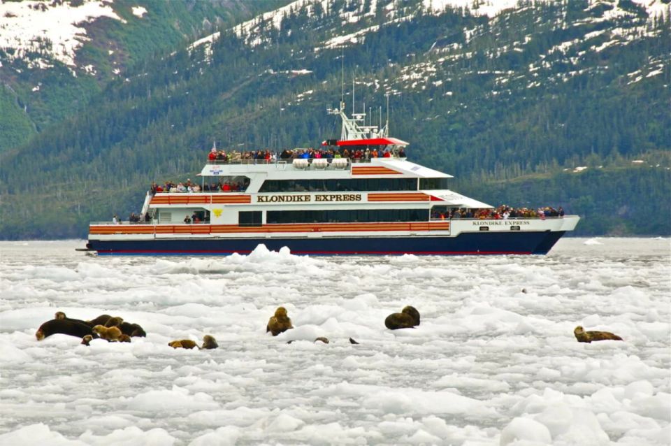 From Whittier/Anchorage: Prince William Sound Glacier Cruise - Key Points