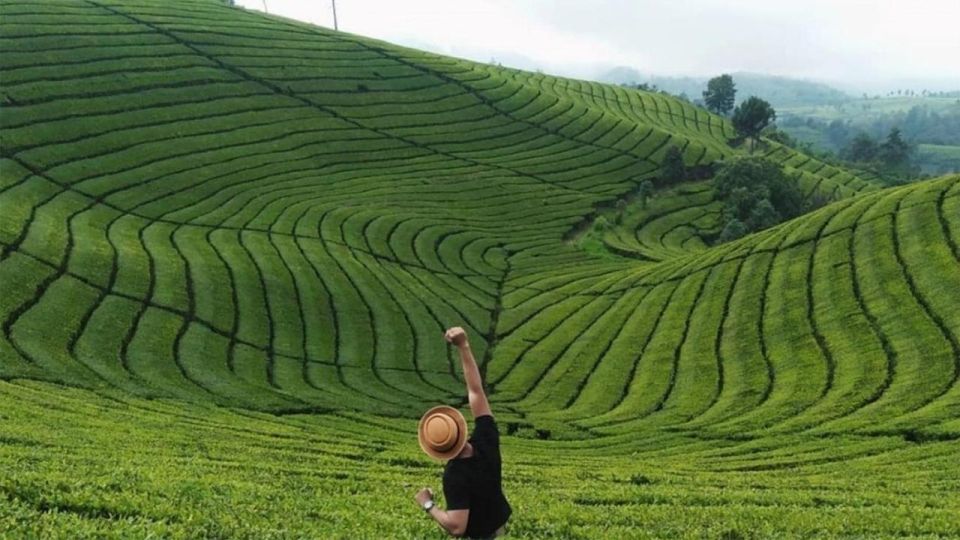 From Yogyakarta: West Java 3-Day Tour With Tea Plantation - Key Points