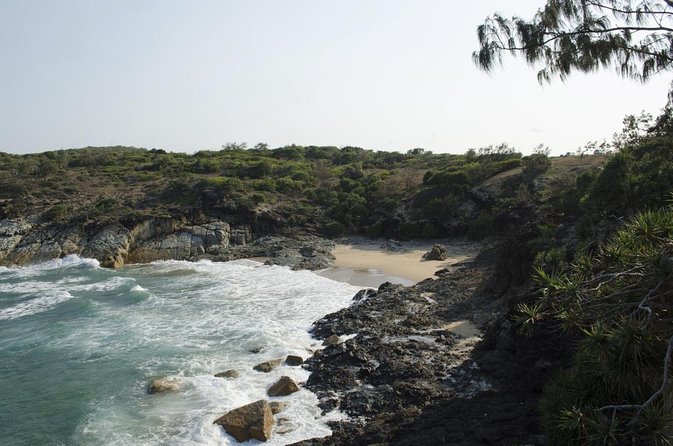 Full-Day 1770 Tour by LARC Amphibious Vehicle Including Sandboarding and Bustard Head Lightstation - Just The Basics