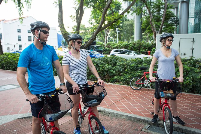 Full-Day Bike and Food Tour of Singapore - Key Points