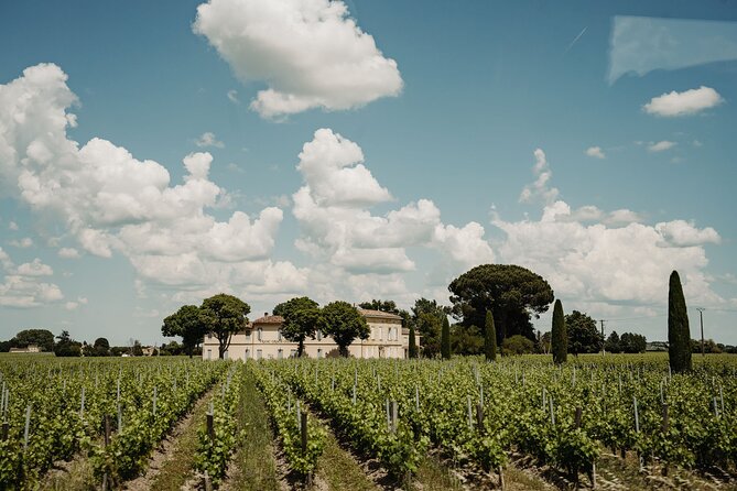 Full-Day Bordeaux Wine Experience With Lunch and Tastings - Key Points