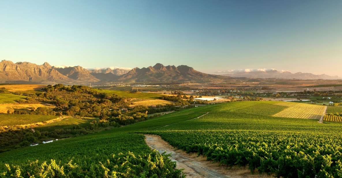 Full-Day Cape Winelands Tour - Just The Basics