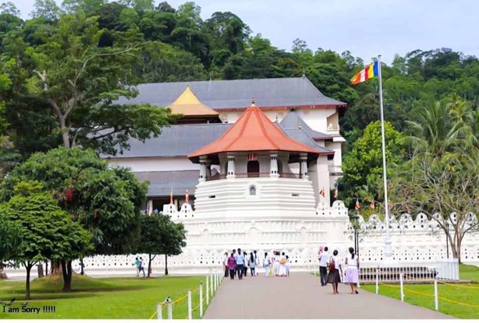 Full Day Excursion to Kandy & Pinnawala From Colombo/Negombo - Key Points