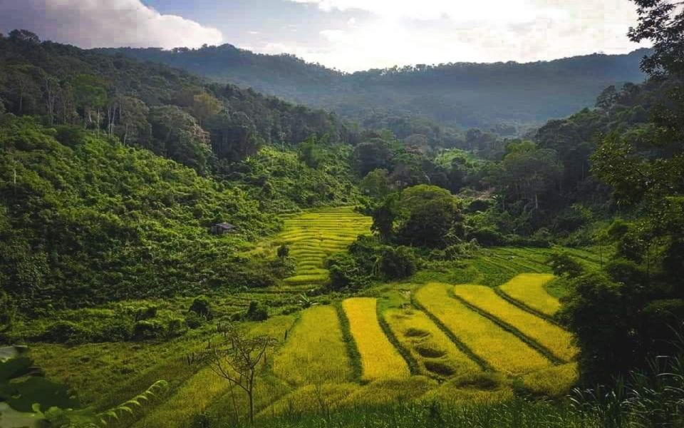 Full Day Forest Trekking - Key Points