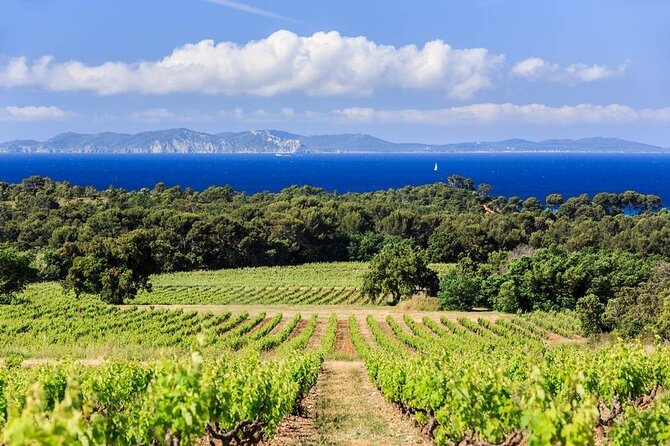 Full-Day Guided Wine Tasting Tour in Côtes De Provence - Key Points