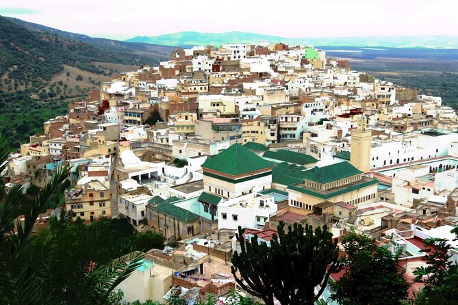 Full-day Historical Meknes Volubilis and Moulay Idriss Tour - Key Points