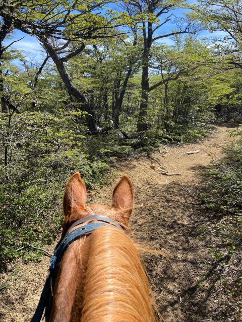 Full Day Horseback Riding Trail Ride to the Mountain - Key Points