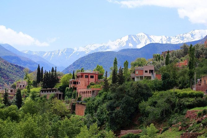 Full-Day Imlil Valley Tour From Marrakesh With Lunch  - Marrakech - Key Points