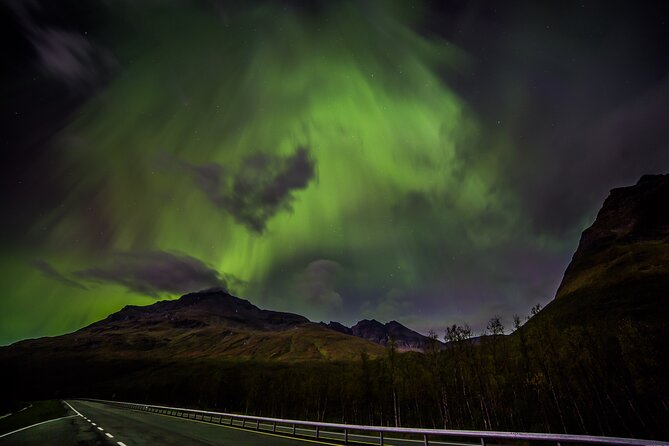 Full Day Magic of the Arctic Lights in Tromso - Highlights of the Arctic Lights Tour