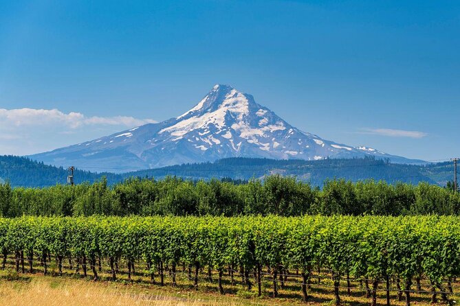 Full-Day Mt Hood Waterfall Tour With Lunch and Wine Tasting - Just The Basics