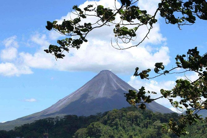 Full-Day Nature Adventure Tour in Costa Rica  - San Jose - Tour Highlights