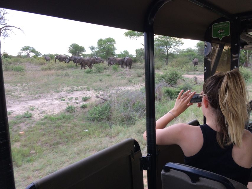 Full-Day Private Big 5 Safari in Kruger National Park - Just The Basics