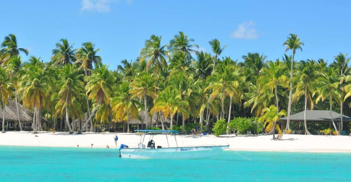 Full-Day Saona Island Tour by Speedboat - Just The Basics
