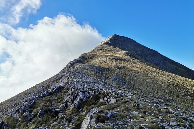 Full-Day Small-Group Hiking and Cycling Tour From Taygetos to Sparti - Key Points