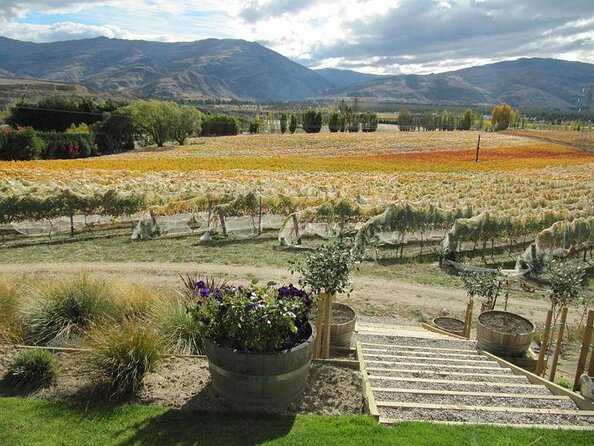 Full-Day Small-Group Wineries Tour With Tastings, Queenstown - Key Points