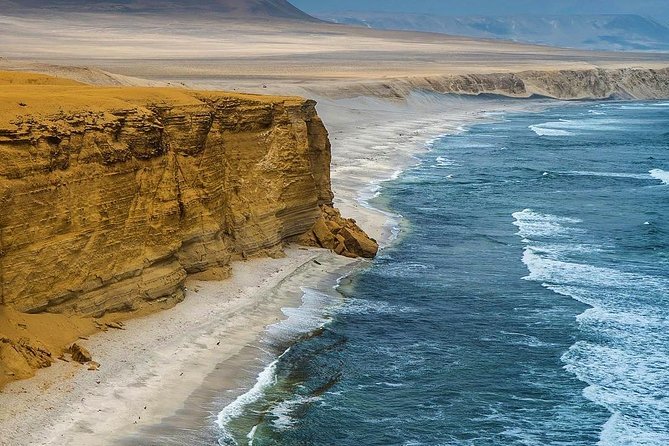Full Day Tour From Lima: Ballestas Islands and Paracas Reserve - Tour Overview