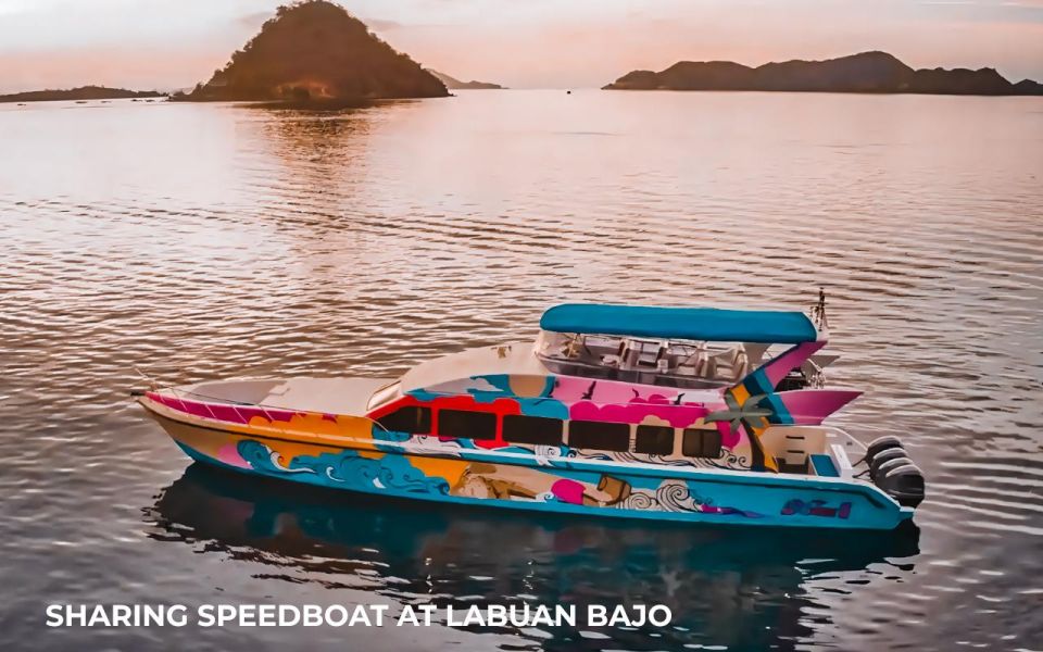 Full Day Tour Komodo Island With Sharing Speedboat - Key Points