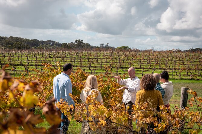 Full Day Tour of Margaret River and Its Local Producers - Just The Basics