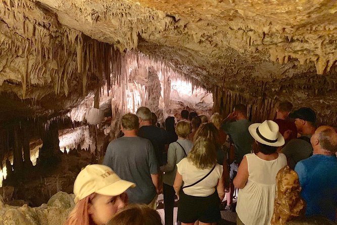 Full Day Tour to Caves of Drach and Hams With Porto Cristo and Pearl Factory - Key Points