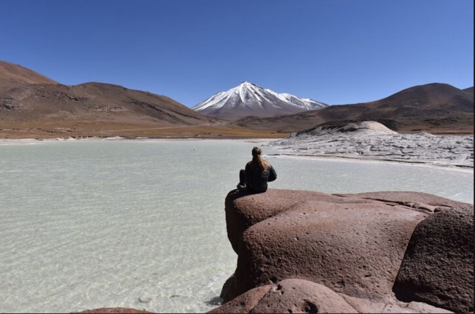 Full Day Tour to Lagunas Altiplanicas, Piedras Rojas, and Laguna Chaxa - Key Points