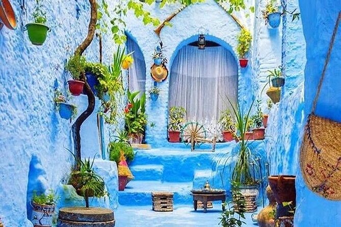 Full-Day Tour to the Blue City Chefchaouen on Small-Group - Key Points
