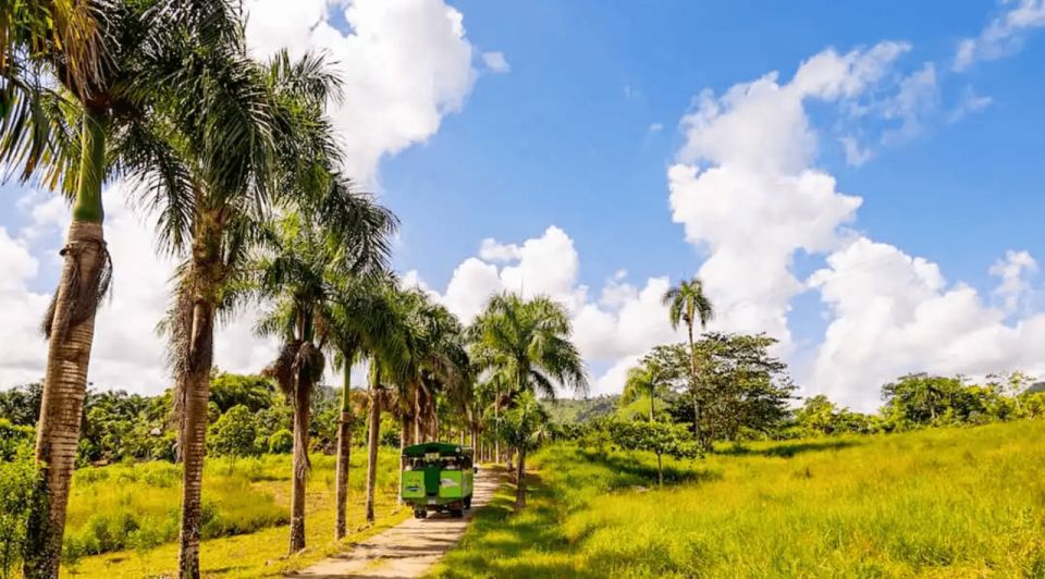 Full Dominican Adventure: Zipline, ATV, Horseback & Safari - Just The Basics