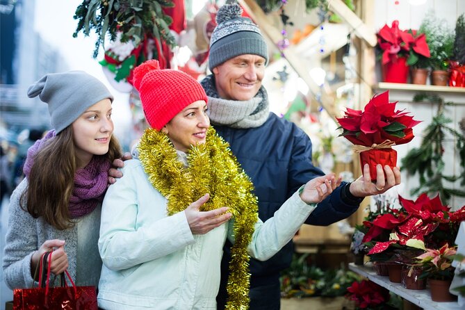 Fun Walking Tour During Christmas in Kilkenny - Key Points