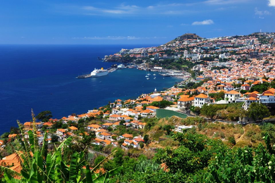 Funchal 3 in 1: 48-Hour Hop-On Hop-Off Bus Tour - Key Points