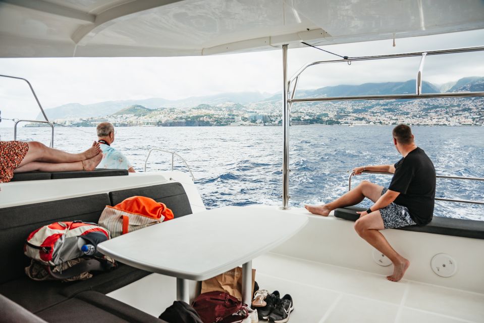 Funchal Bay: Dolphin & Whale Watch Luxury Catamaran Cruise - Key Points