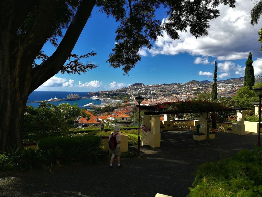 Funchal: City Tour in a Tukxi - Key Points