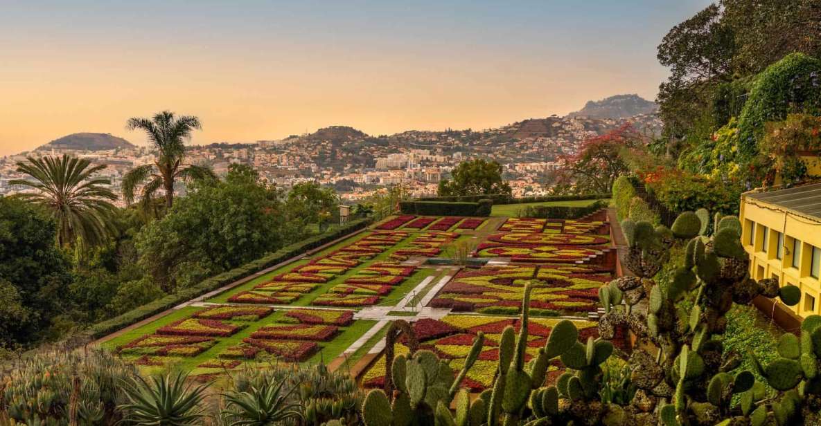 Funchal: Guided Tuk Tuk Tour and Botanical Gardens - Key Points