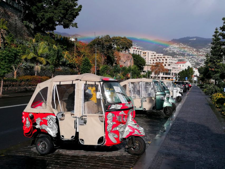 Funchal: Monte Tuk Tuk Tour to the Toboggans - Key Points